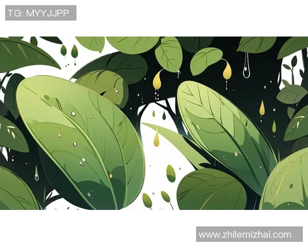 足球明星与自然和谐共生的绿色抽象壁纸设计理念探讨